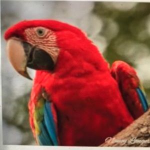 Meet your Posher, Nancy